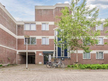 Roggekamp 87