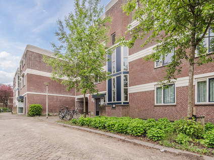 Roggekamp 87