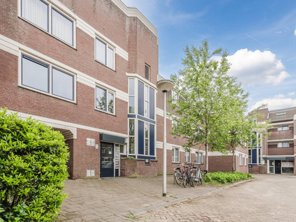 Roggekamp 87
