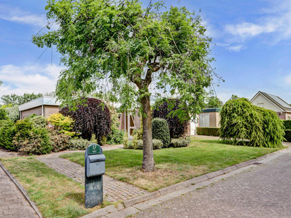 Meidoornstraat 17