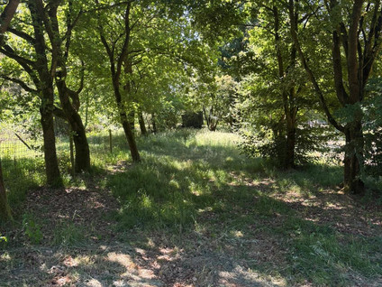 Berghemseweg 