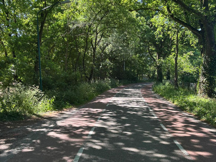 Berghemseweg 