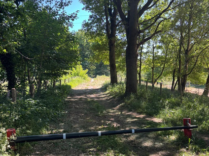 Berghemseweg 