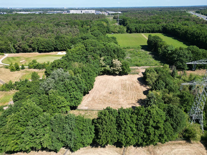 Berghemseweg 