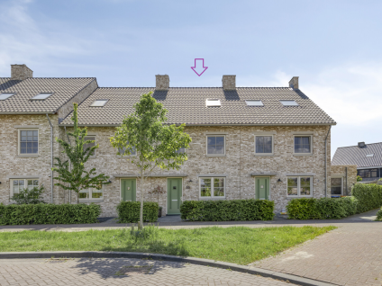 Graan voor Visch 55