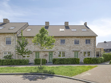 Graan voor Visch 55