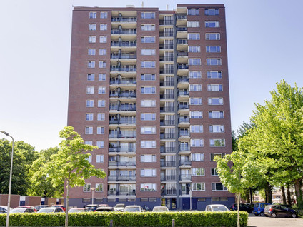 Jekerstraat 242