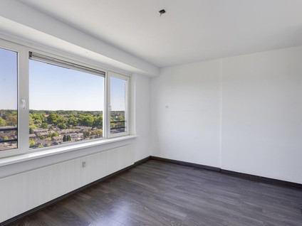 Jekerstraat 242