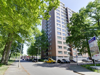 Jekerstraat 242