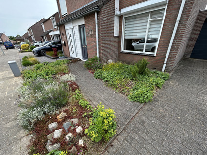 Overbroekerf 26