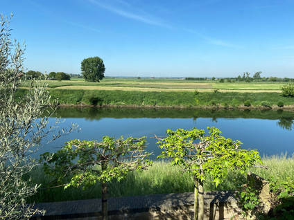 Visserweert 39a