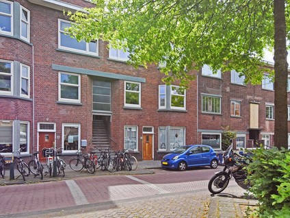 Vlierboomstraat 424