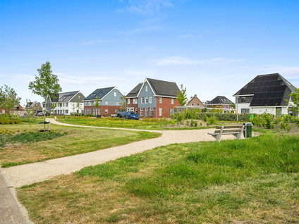 Draadzegge 56