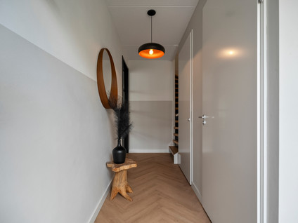 Draadzegge 56