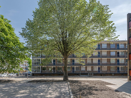 Socratesstraat 183
