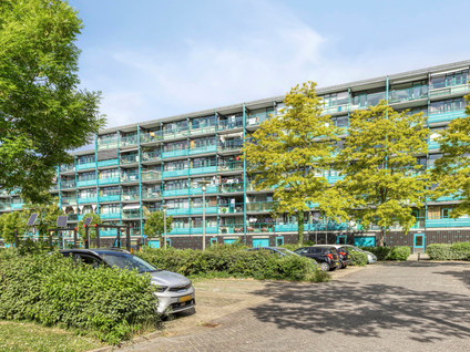 Iepenschans 51