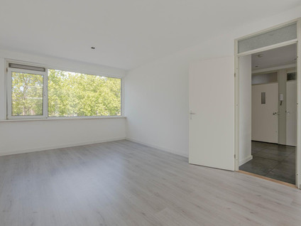 Anthony Tijkenstraat 12