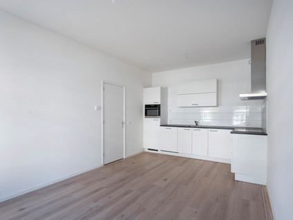 Willem Buytewechstraat 166C