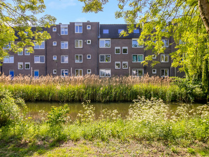 Kopspoor 85