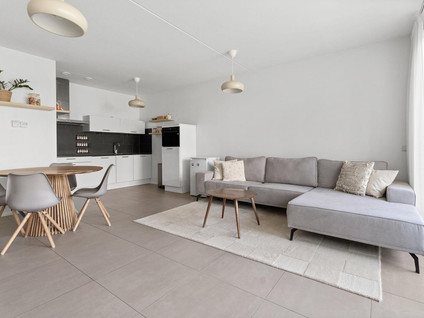 Polluxstraat 31