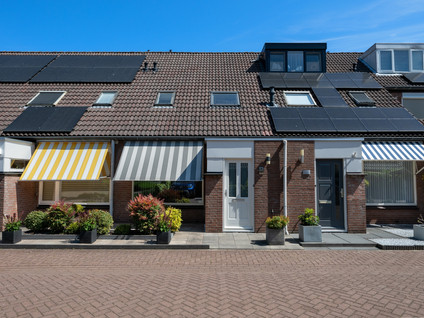 Bilzekruid 8
