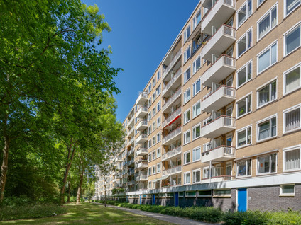 Van Nijenrodeweg 736