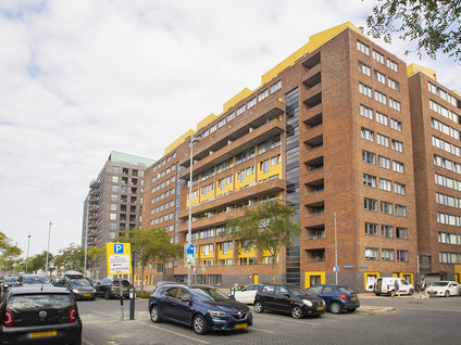 Cor Kieboomplein 213