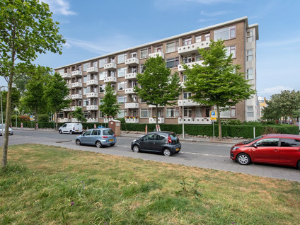 Willem Pijperstraat 66