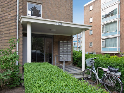 Willem Pijperstraat 66