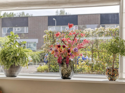 van Ostadelaan 81