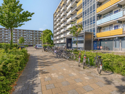 Briljantstraat 288