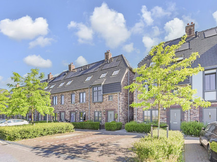 Zonnebaars 53