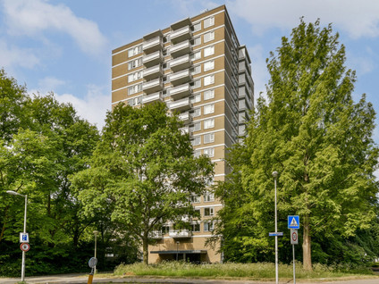 Nachtwachtlaan 479
