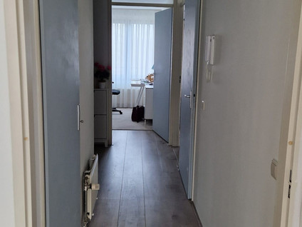 Harriet Freezerstraat 93