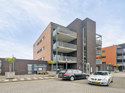 't Scheld 38
