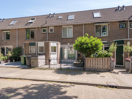 Gemshoorn 20