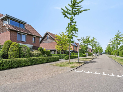 Liesgras 1