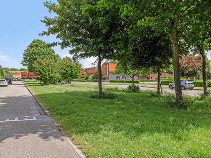 Liesgras 1