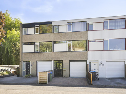 Galjoen 30