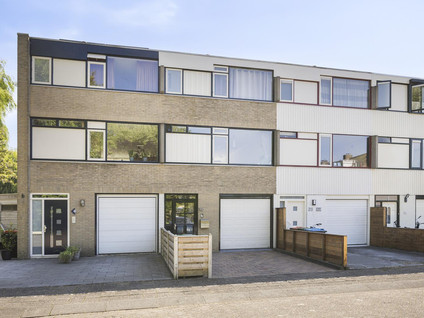 Galjoen 30