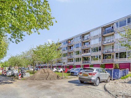 Lijsterstraat 46