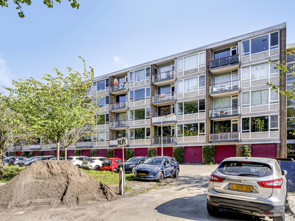 Lijsterstraat 46