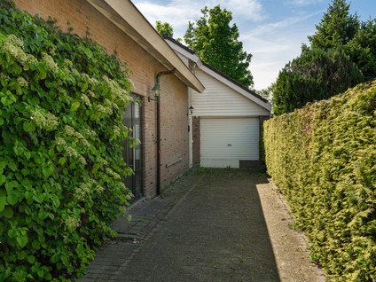 Galerij 8