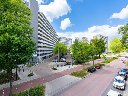 Griegplein 67