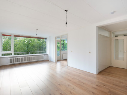 Griegplein 67