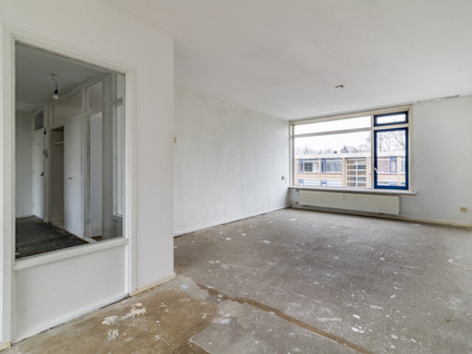 Van Der Haertstraat 45