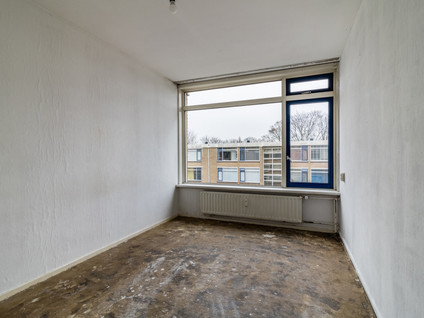 Van Der Haertstraat 45