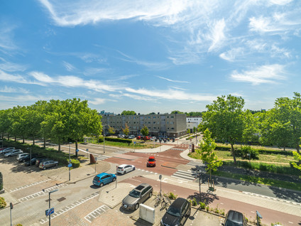 Kamilleveld 3