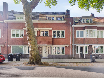 Zuidzijde Zoom 36