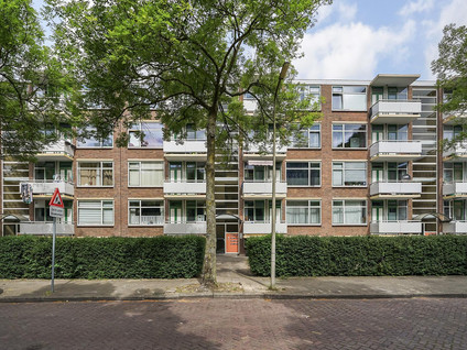 Steenzicht 99
